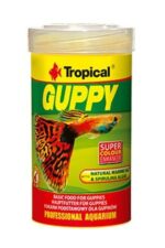 Tropical Guppy Pul Lepistes Yemi 100 ML