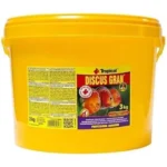 Tropical Discus Gran  Kovadan Bölme