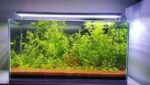 Armatürk 80 cm Led Armatür ( Yüksek ışık isteyen bitki akvaryumları için ) - Görsel 2