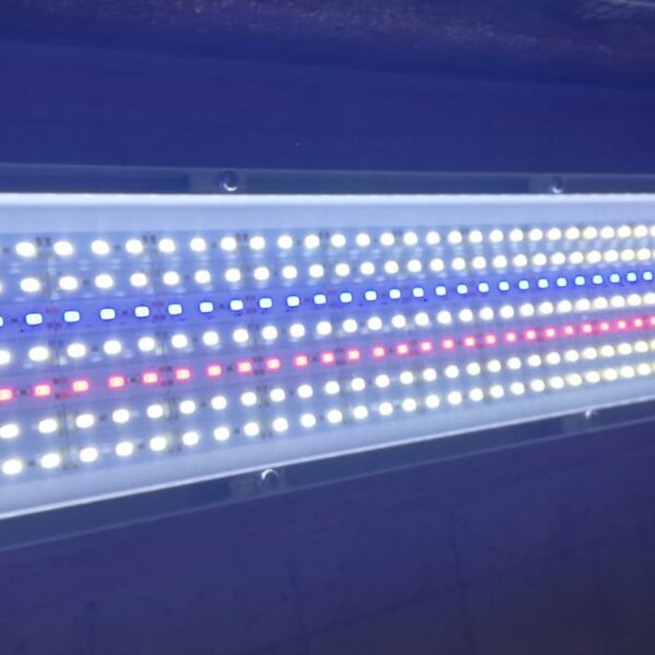 Armatürk 80 cm Led Armatür ( Yüksek ışık isteyen bitki akvaryumları için )