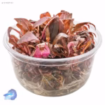 alterna reineckii mini in vitro