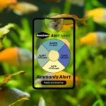 Seachem Alert Combo - Ph+ Ammonia Göstergesi - Görsel 2