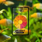 Seachem Alert Combo - Ph+ Ammonia Göstergesi - Görsel 3