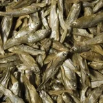Tropical Dried Fish 100ml 15gr - Görsel 2